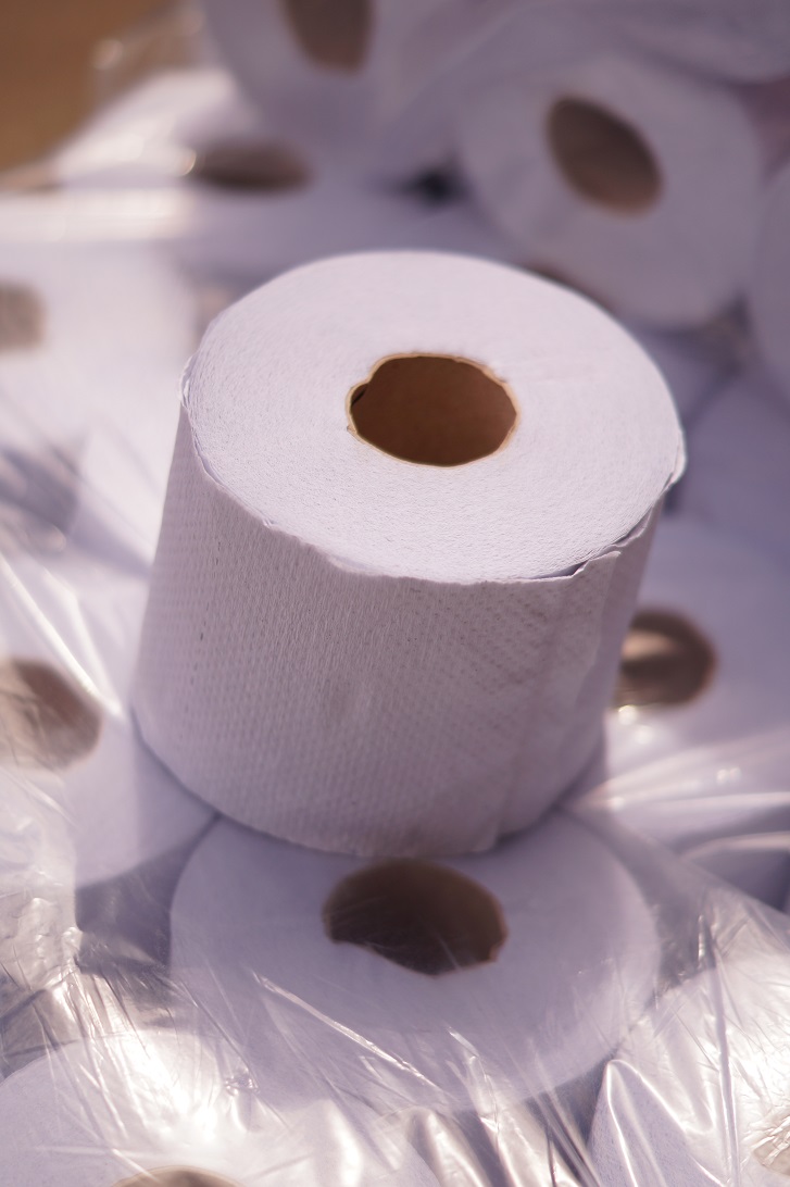 papier toaletowy mała rolka standard szare makulatura